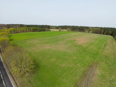 działka rolna o pow. 11300 m2 oraz dwie mniejsze! - 4