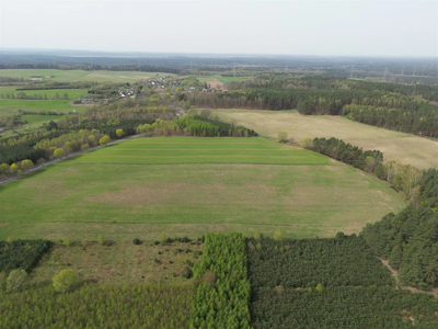 działka rolna o pow. 11300 m2 oraz dwie mniejsze! - 5