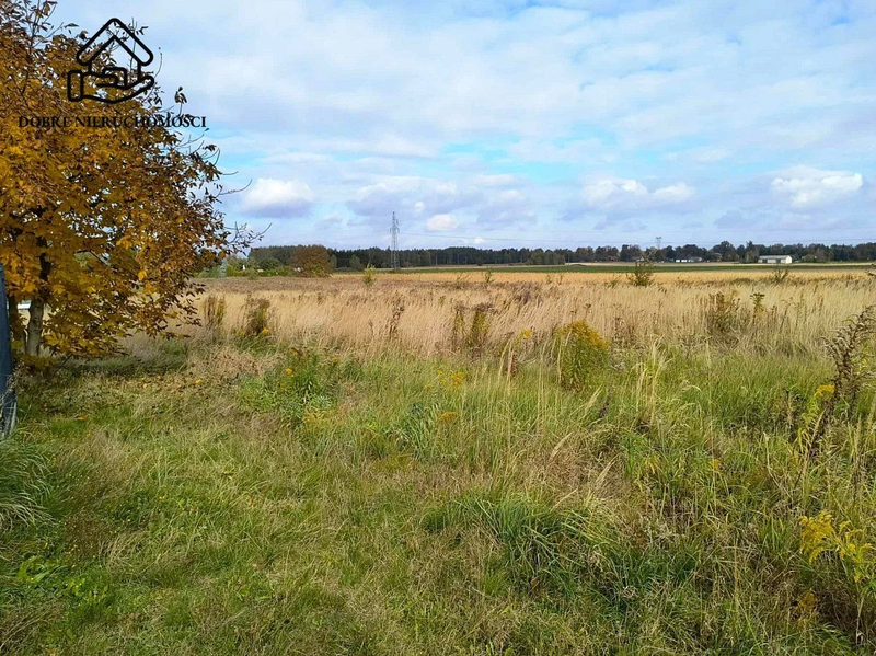 Piękna 18 arowa płaska działka - Pólko. - dd_fb4450c2_zs_240535_1.jpg