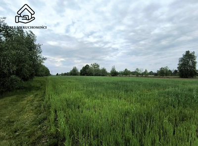 10 arów - spokojna okolica w sąsiedztwie lasu. - 4