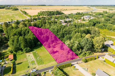 Działka ze stawem poniżej 100 tysięcy - 5