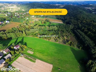 Duża działka z potencjałem inwestycyjnym – 2,52 ha