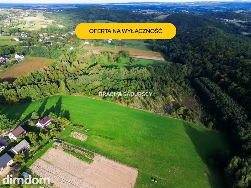 Duża działka z potencjałem inwestycyjnym – 2,52 ha - dd_c43ea97e_zs_BS3-GS-314295_1.jpg