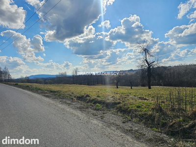 Działki na sprzedaż - Czechówka - 4