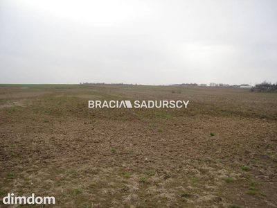 *Zdjęcia należą do właściciela oferty.