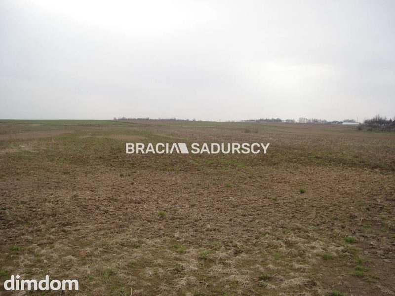 *Zdjęcia należą do właściciela oferty. - dd_c43ea97e_zs_BS3-GS-262356-225_1.jpg