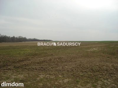 *Zdjęcia należą do właściciela oferty. - 2