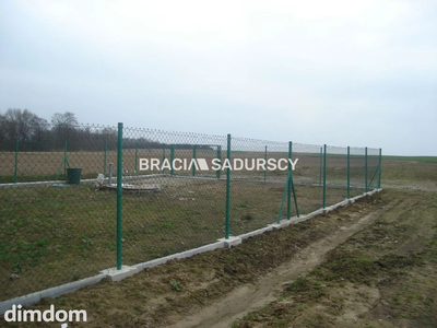 *Zdjęcia należą do właściciela oferty. - 3