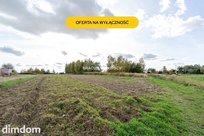 Działka budowlana / 25 ar / płaska / Cholerzyn