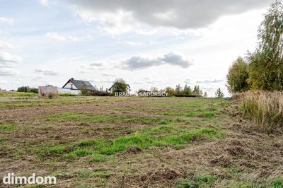 Działka budowlana / 25 ar / płaska / Cholerzyn - 2