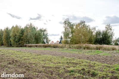 Działka budowlana / 25 ar / płaska / Cholerzyn - 5