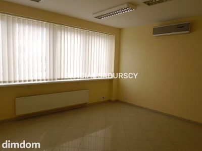 *Zdjęcia należą do właściciela oferty. - 5