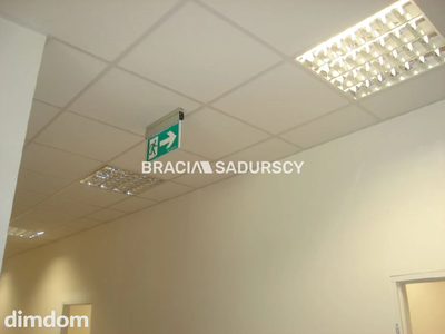 *Zdjęcia należą do właściciela oferty. - 3