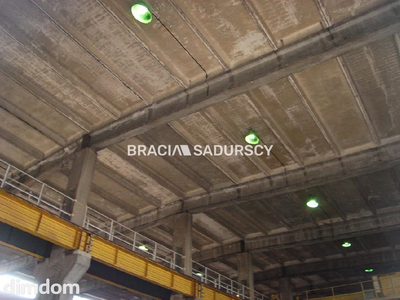 *Zdjęcia należą do właściciela oferty. - 4