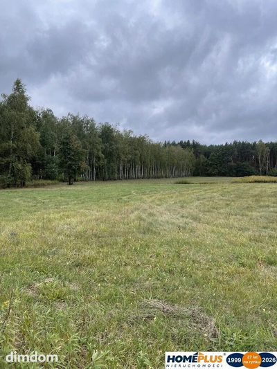 Działka bud. 4113 m² w Sierakowie koło Radzymina. - 3