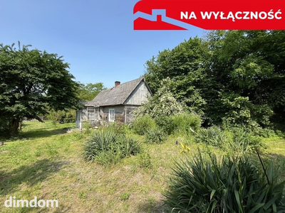 Siedlisko w Kaliszanach Kolonii gm. Józefów - 2