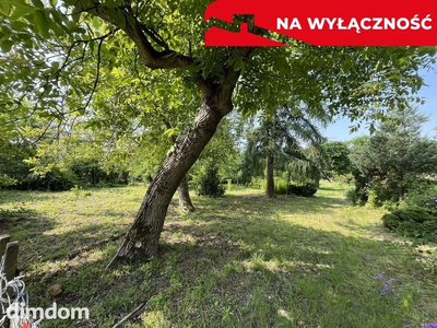Siedlisko w Kaliszanach Kolonii gm. Józefów - 5