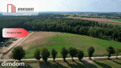 *Działki 830- 3132m2  Kowalewo Szubin ŚCIANA LASU - 4
