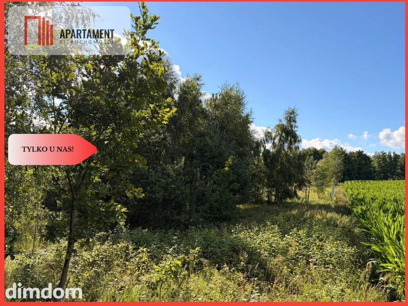 Tylko u nas! Działka-cisza, natura i potencjał! - dd_18eeaa1f_zs_725898_1.jpg
