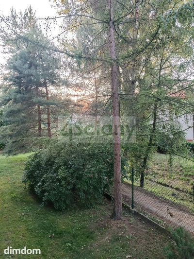 Idealnie ciche, 4 pokoje w pięknym miejscu, - 5