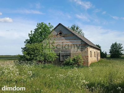 Chata na Podlasiu! - 4