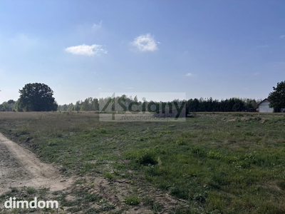 Wolno stojący dom w otulinie Puszczy Kampinoskiej - 4