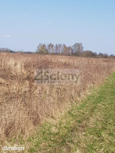 DZIAŁKA INWESTYCYJNA - 3
