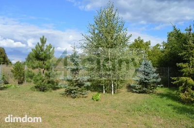 Działki o pow. 5071 + 123 m2 (droga wewnętrzna) łącznie 5194 m2 . - 2