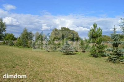 Działki o pow. 5071 + 123 m2 (droga wewnętrzna) łącznie 5194 m2 . - 3