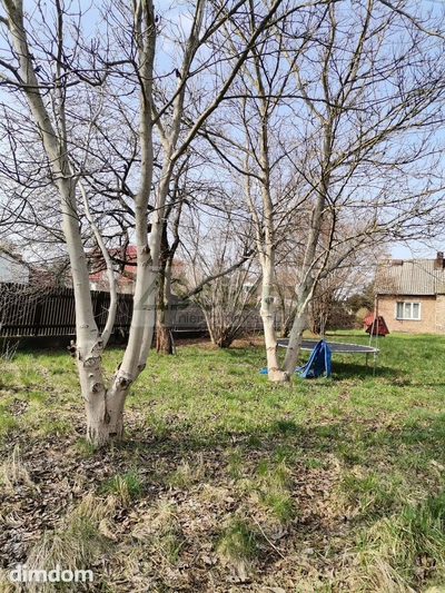 Działka budowlana ogrodzona o powierzchni 2555 m2 w kształcie prostokąta w centralnej części Konstancina Jeziorna. - 4