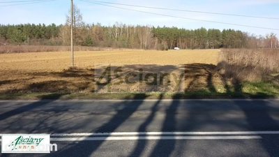 Do sprzedania działka położona w Kazuniu Polskim bezpośrednio przy drodze powiatowej numer 579 ( 5000 m2 działka inwestycyjna) - 3