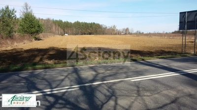 Do sprzedania działka położona w Kazuniu Polskim bezpośrednio przy drodze powiatowej numer 579 ( 5000 m2 działka inwestycyjna) - 4