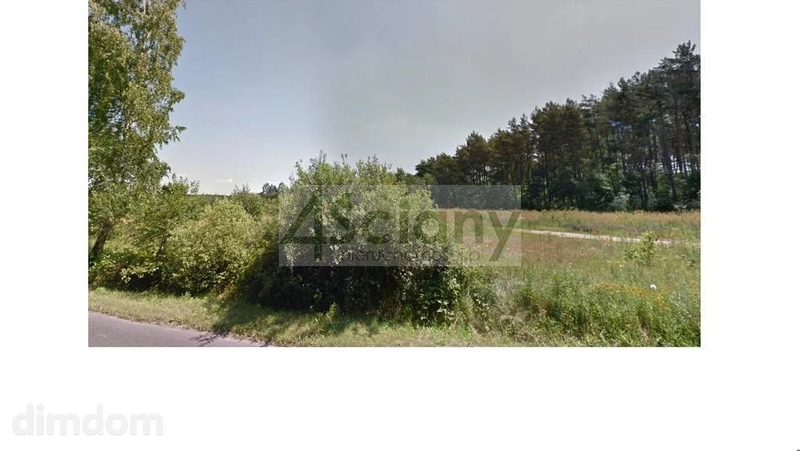 Las i Strzeniówka = dom - 75517669.jpg