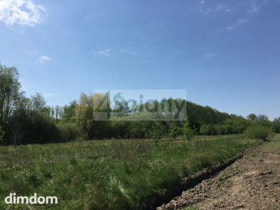Dwie działki położone w Kozerkach, w odległości ok. 5 km od Grodziska Mazowieckiego.