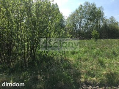 Dwie działki położone w Kozerkach, w odległości ok. 5 km od Grodziska Mazowieckiego. - 2