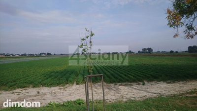 Do sprzedania działka inwestycyjna o powierzchni ok 28000 m2 (2,8 ha) w Płochocinie pomiędzy Błoniem a Ożarowem Maz.