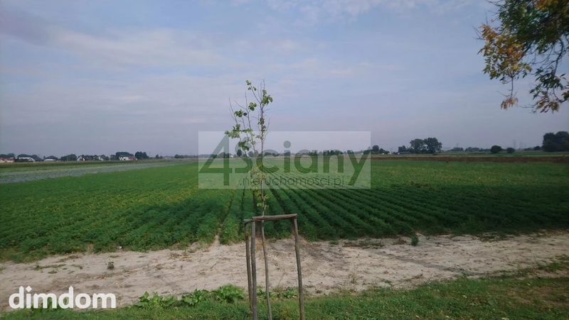 Do sprzedania działka inwestycyjna o powierzchni ok 28000 m2 (2,8 ha) w Płochocinie pomiędzy Błoniem a Ożarowem Maz. - 77476261.jpg