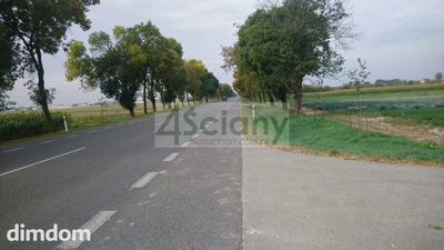 Do sprzedania działka inwestycyjna o powierzchni ok 28000 m2 (2,8 ha) w Płochocinie pomiędzy Błoniem a Ożarowem Maz. - 3