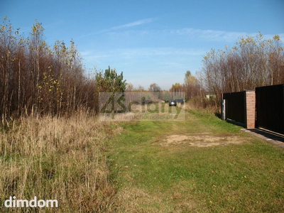 DZIAŁKA PRZY PUSZCZY BOLIMOWSKIEJ - 5