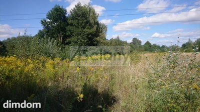 Do sprzedania działka budowlano-inwestycyjna o powierzchni 11854 m2 w Brwinowie. - 2