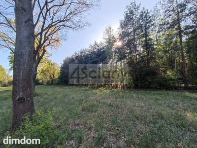 Piekna działka budowlana 1951 m2 Jabłonna - 2
