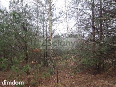 Do sprzedaży urocza działka budowlana o pow. 1390 m2  położona w otulinie lasu, w miejscowości Żelechów gm. Żabia Wola. TYLKO ok. 25 km od Warszawy. - 5