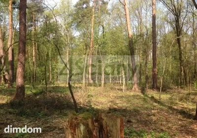 Do sprzedania 5 działek o łącznej  powierzchni 12000 m2 w Sękocinie Las koło Magdalenki.
