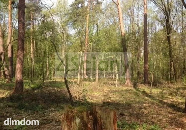 Do sprzedania 5 działek o łącznej  powierzchni 12000 m2 w Sękocinie Las koło Magdalenki. - 79538627.jpg