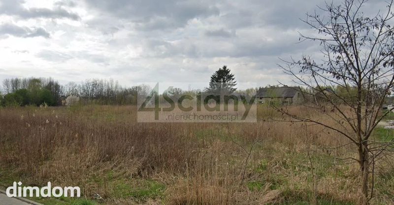 Do sprzedania działka o pow. 26 900 m2 w Kazimierowie gm. Halinów. Działka w kształcie pięciokąta o długości 230 i szerokości około 130 m. Dojazd do działki drogą asfaltową od strony południowej i ws… - 104686059.jpg