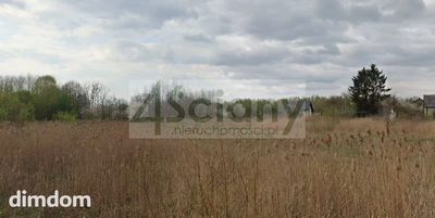 Do sprzedania działka o pow. 26 900 m2 w Kazimierowie gm. Halinów. Działka w kształcie pięciokąta o długości 230 i szerokości około 130 m. Dojazd do działki drogą asfaltową od strony południowej i ws… - 2