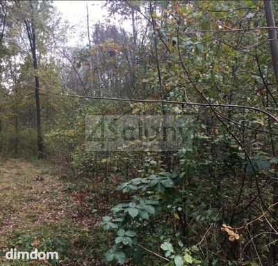 Do sprzedaży działka o powierzchni 1521 m2 położona w Nowym Prażmowie gmina Prażmów. Działka w kształcie prostokąta o wymiarach 26 na 58 m. Dojazd do działki drogą utwardzoną (400 m od asfaltowej) i…