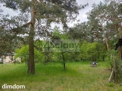 Duża działka w Wesołej w lesie - 3