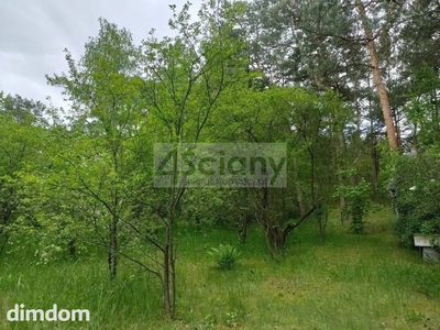Duża działka w Wesołej w lesie - 4