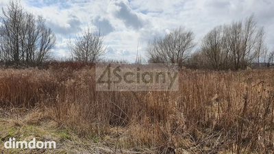 OFERTA WYŁĄCZNIE W NASZYM BIURZE !!! - 3